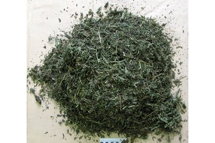 Самашки